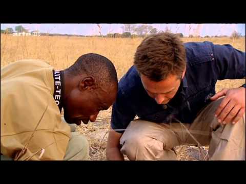 Steffens entdeckt Namibia  Nationalpark im Aufbruch - Doku Deutsch über Namibia