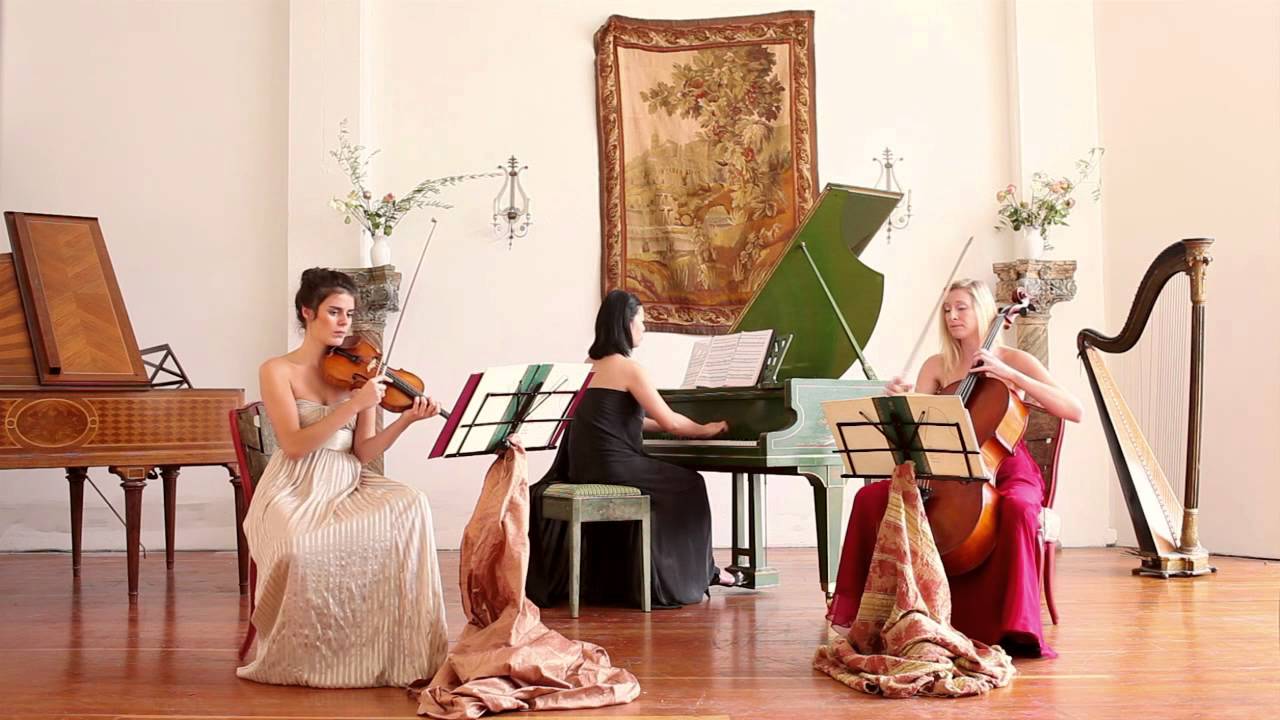 Promotional video thumbnail 6 for Anne Suda SRQ Cellist