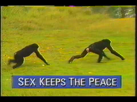 Nightline commercial 1992