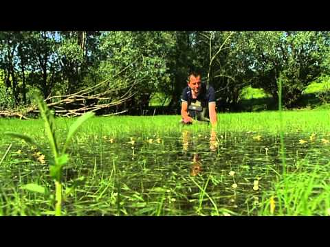 BuitenGewoon 5-06-2012 Beuningse Uiterwaarden