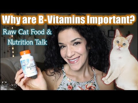 B Vitamins & Cats: Why are they important (and why do you add supplements to homemade raw cat food)?