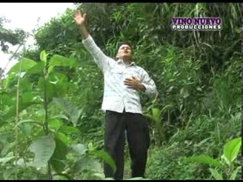 LLUVIA DE AVIVAMIENTO vino nuevo