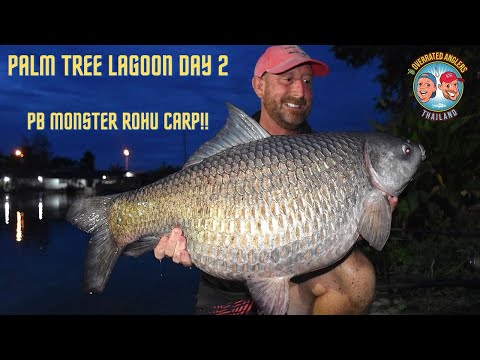 Fishing in Thailand with The Overrated Anglers - PTL Unreal PB Rohu after a tough day at the office.