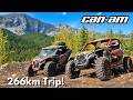 WILD Canadian Side By Side Adventure S1E55