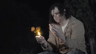 Cover art for Forest for the Trees