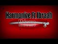 Harmonize ft Ibraah - Mdomo (Lyrics Video)