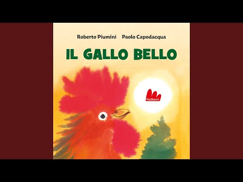 Il gallo bello