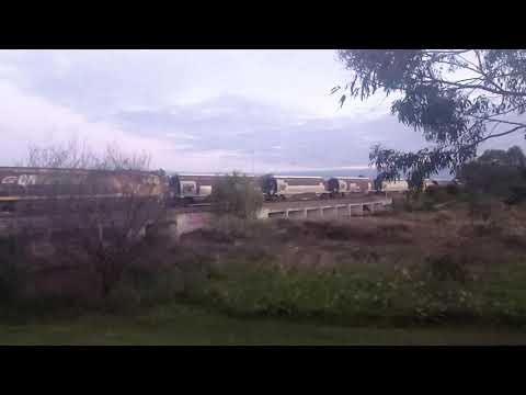 Aurizon Grain Train Through Mawson Lakes 14th May 2020