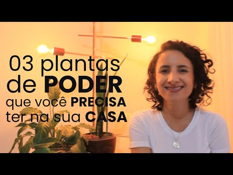 03 plantas de PODER que você PRECISA ter na sua casa! 🪴🌿