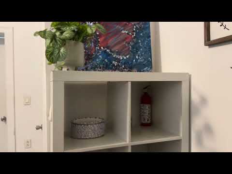 video 1