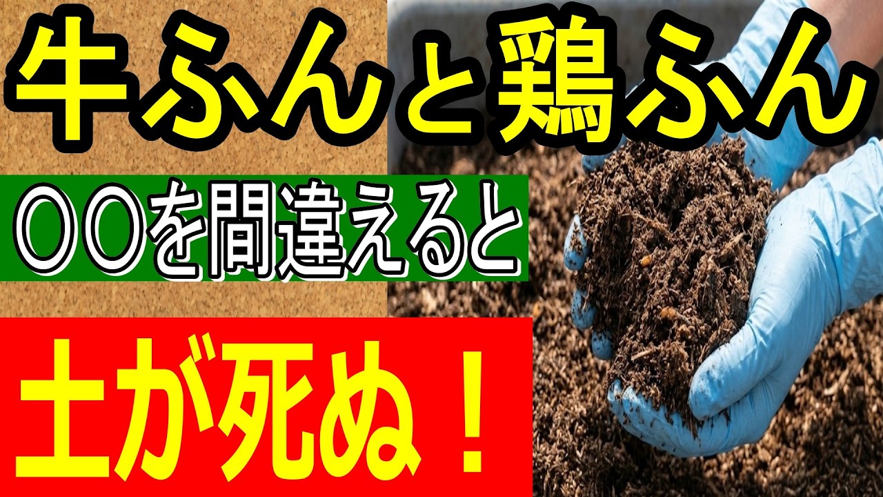 【家庭菜園】牛ふんと鶏ふんの違いは？失敗しないための土作りと肥料の基本を農業のプロが解説