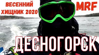 Ссылка