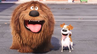 Cute Pets for 20 Minutes 🥺 | Pets – The Secret Life of Pets | Cartoons in Portuguese