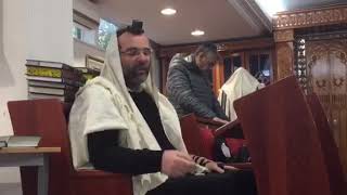 עדויות על רבי חיים כהן ז"ל - Témoignages sur rebbi Haim Cohen z"l