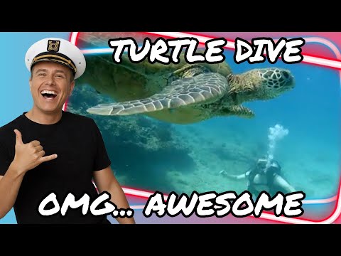 Large Moray Eel hiding in the coral reef