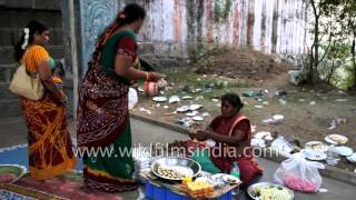 Fortune telling and parrot astrology in India