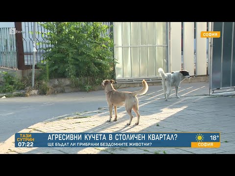 Агресивни кучета тормозят от месеци столичен квартал