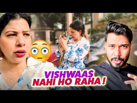 THIS STRAY CAT'S GESTURE BLEW OUR MINDS