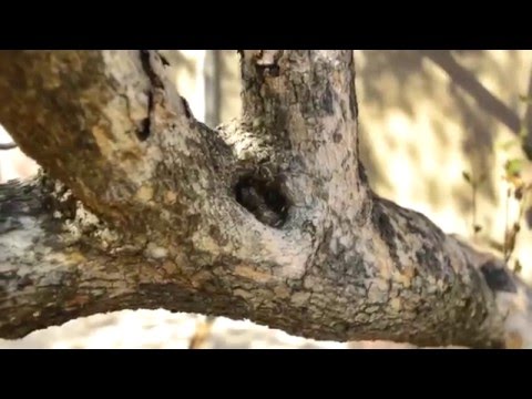 D3200 Homemade Cinematic Video; CountrySide Getaway