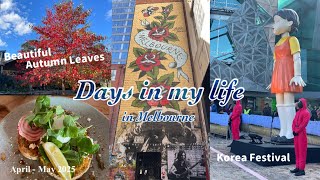 【メルボルンVlog】メルボルン生活ᴀᴜ / Macedon紅葉狩り🍁/ Korea Festival でイカゲーム観戦/ Da-iCEのMVロケ地訪問 / Banksy