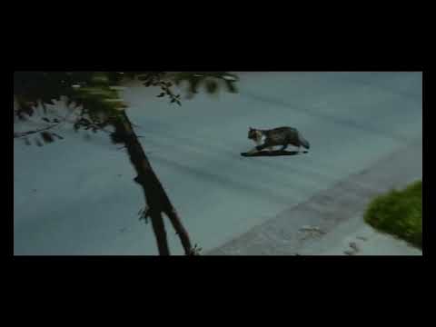 MARMADAGA - Lukas Trip