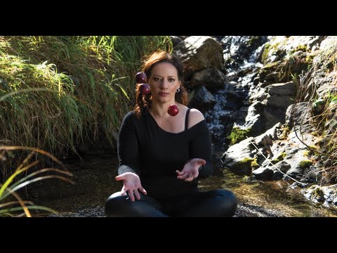 Ksenija Kuljača - Logika