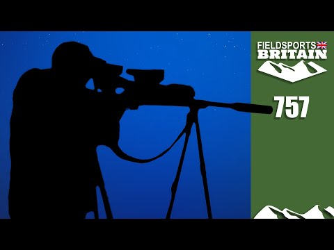 Fieldsports Britain – Flash-bang foxing