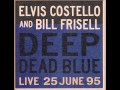 Elvis Costello - Love field (with Bill Frisell)