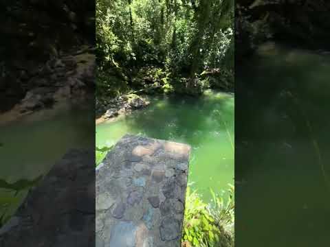 el rincón del vides villa garzon Putumayo