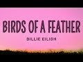 Billie Eilish - BIRDS OF A FEATHER (Lyrics)