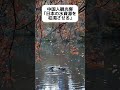 中国人観光客｢日本の水資源を枯渇させる｣