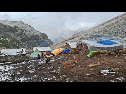 Best Mountain Life in the Himalayas | Winter Shepherd Life in Heavy Snowfall