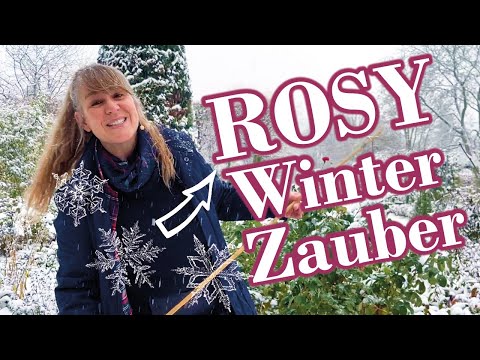 ROSY WEEK in winter dress - only today 20% 🌹