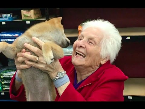 おばあちゃんの初めてのペットショップへの旅|ロス・スミス (GRANDMA'S FIRST TRIP TO THE PET STORE | Ross Smith)