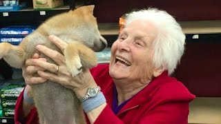 GRANDMA'S FIRST TRIP TO THE PET STORE | Ross Smith