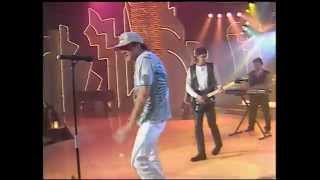 LA UNION &quot;VIDA ANIMAL NOCTURNA&quot;