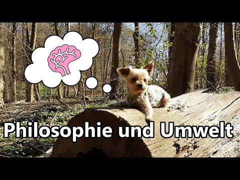 Philosophie und Umwelt