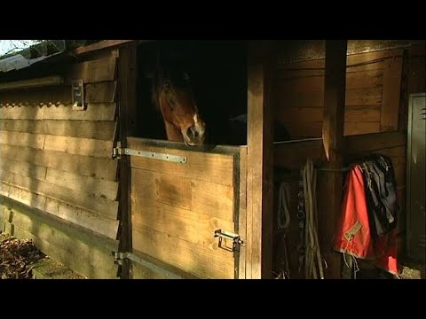 GLD Nieuws 3 december 2013 - Nieuws