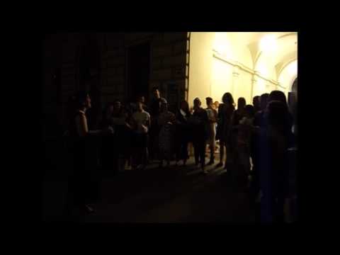 Choral Version "The Crown and the Ring" (Manowar) - Mittsommerfest Skandinavistik, Uni Wien 2016