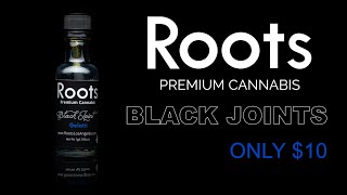 Roots Lounge Video - Rap v1