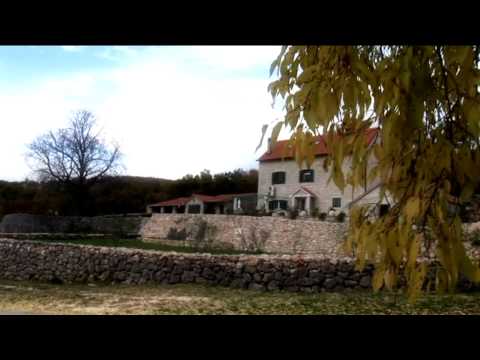 Džoni Gitara i Ante Džaja-rođo - Plava suza