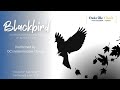 BLACKBIRD - John Lennon & Paul McCartney ...