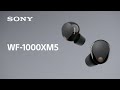 Беспроводные наушники Sony WF-1000XM5 Black (WF1000XM5B.CE7) 5