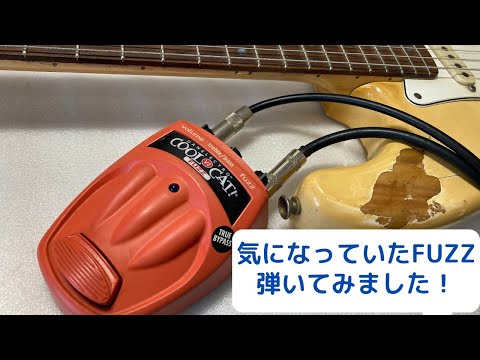 Danelectro Cool Cat Fuzz V2 Orange image 7