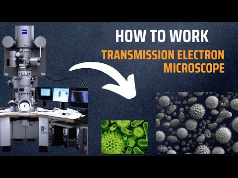 Transmission Electron Microscope TEM How do Electron Microscopes Work