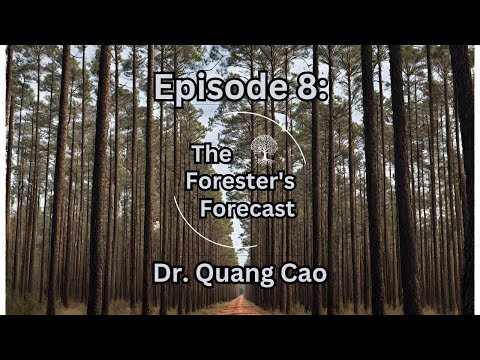 Episode 8: Dr. Quang Cao