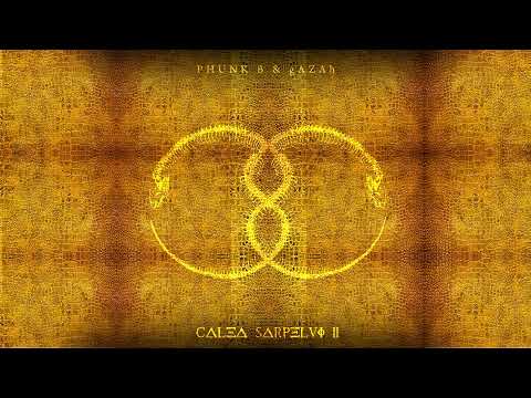 Phunk B x gAZAh - Fuste feste