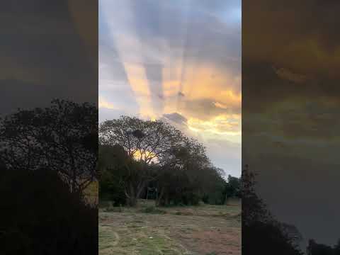 Hoje Meu boa noite e de Vianópolis Goiás