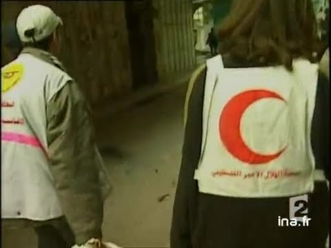 8 p.m. news: [broadcast of April 9, 2002]