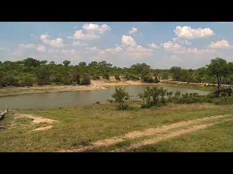Djuma Private Game Reserve Live Stream